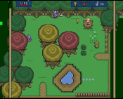 Zelda